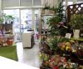 Bel Fiore　いなげや草加瀬崎店のアルバイト写真