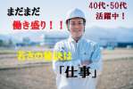 株式会社イー・オー・シーのアルバイト写真