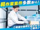 Job・Design株式会社の求人画像