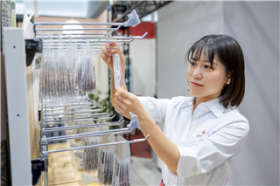 バンダイナムコ Cross Store イオンモール高岡店の求人画像