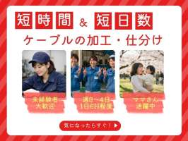 株式会社セスナーの求人画像
