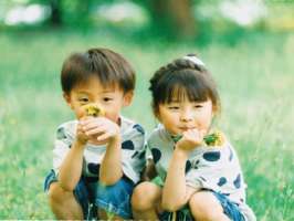 hp001894学校法人野乃花学園 二和ひつじ幼稚園の求人画像