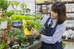 島忠　大田千鳥店（ホームセンターフロア）の求人画像
