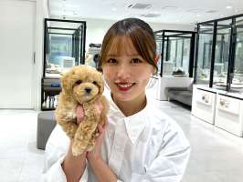 yd2340ペッツファースト株式会社　ペッツファースト 須坂店の求人画像