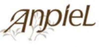 株式会社 アンピールのロゴ