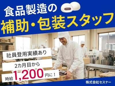 セスナーのアルバイト写真