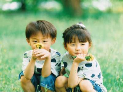 hp001894学校法人野乃花学園 二和ひつじ幼稚園のアルバイト写真