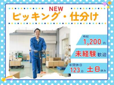 セスナーのアルバイト写真