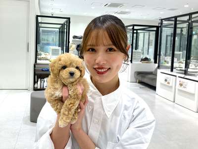 yd2340ペッツファースト株式会社　ペッツファースト 須坂店のアルバイト写真